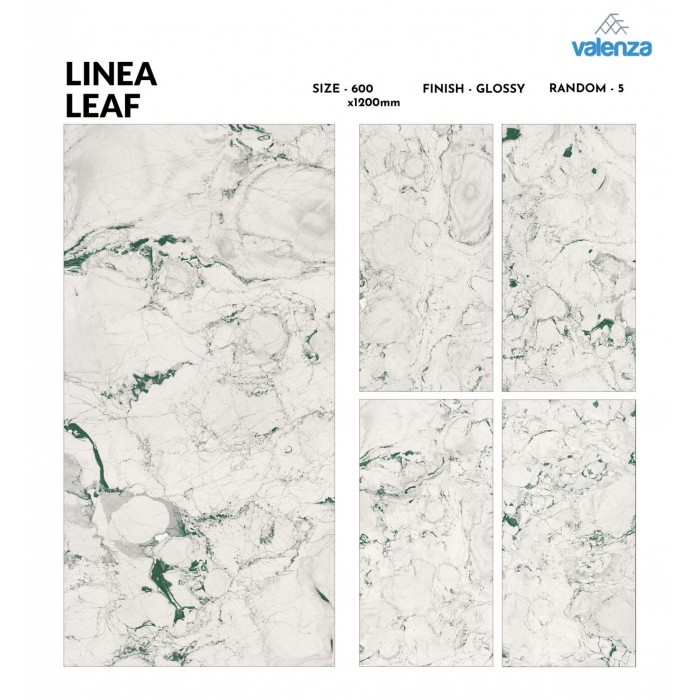 Linea Leaf  (60cm x 120cm) High Glossy Porselen Piltə - Valenza Ceramic (Hindistan)